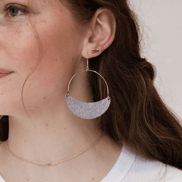 Lavender Haze Asters