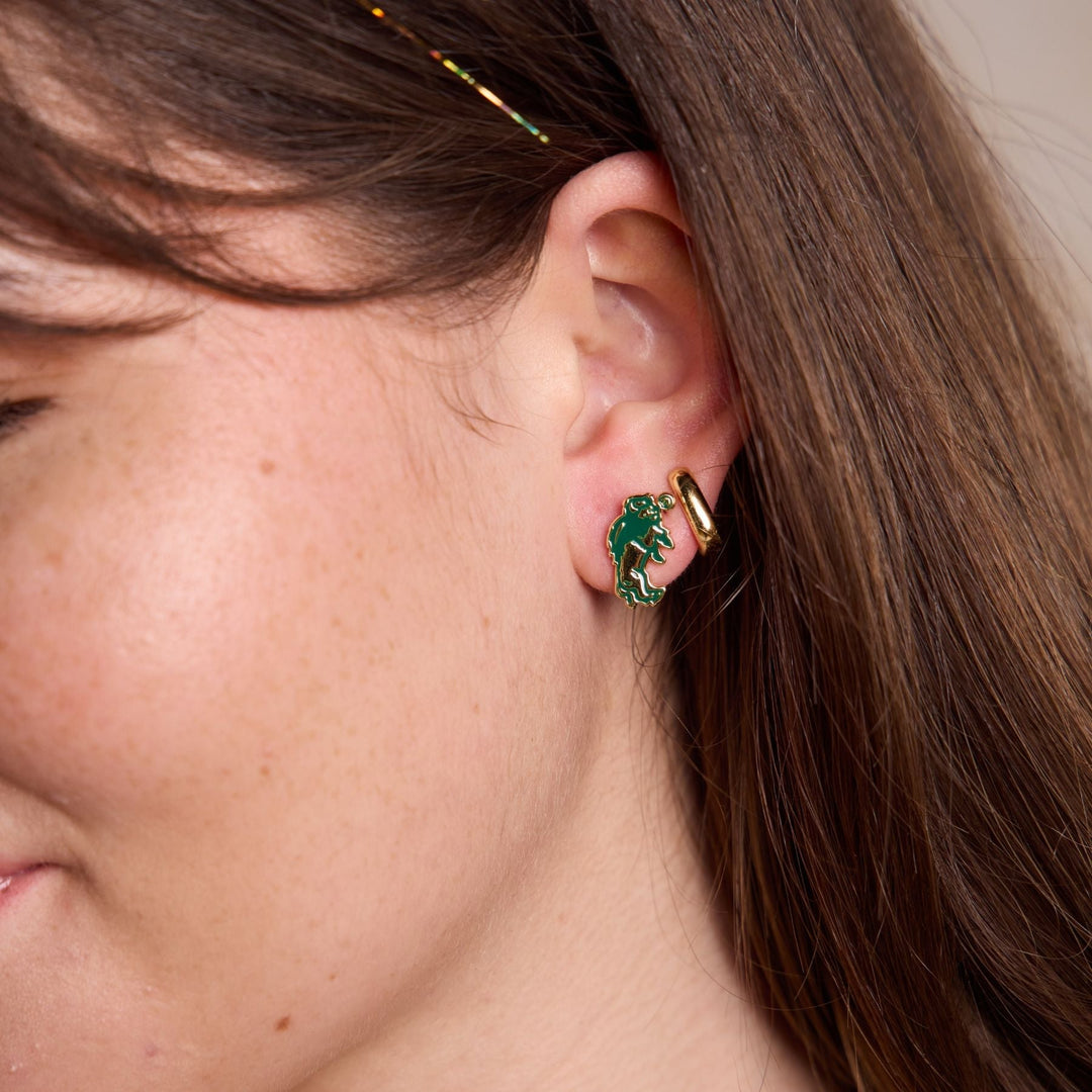 North Dakota State University Bison Studs