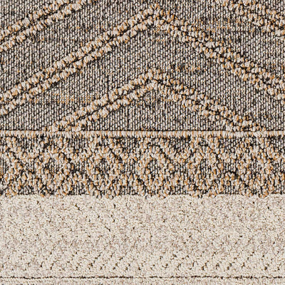 Beige Charcoal Areli Area Rug